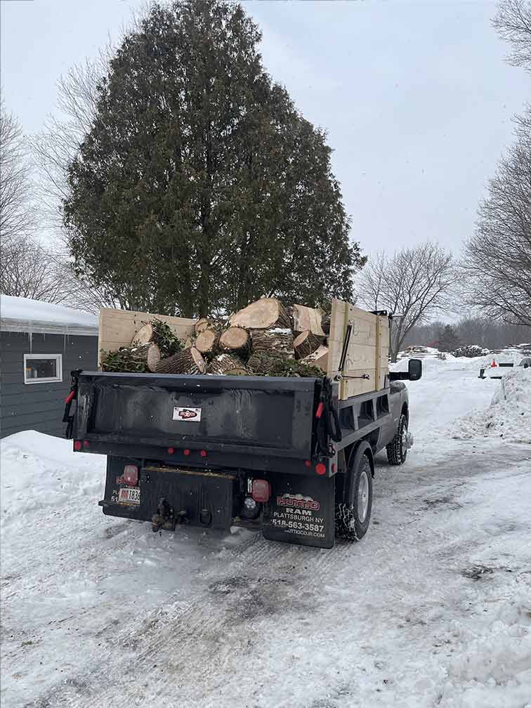 Tree Removal Services