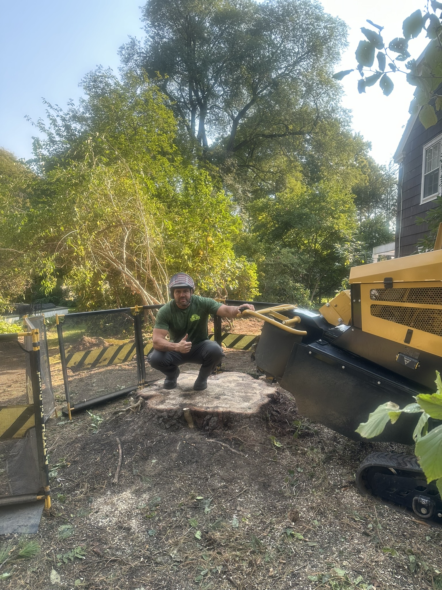 Stump Grinding Services
